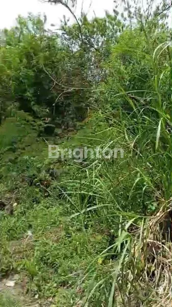 image TANAH STRATEGIS VIEW DANAU BUYAN BEDUGUL (4)