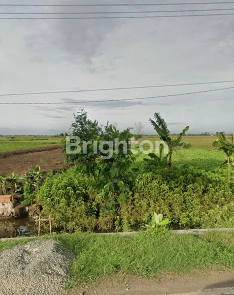 image TANAH LUAS DI KRANGKENGA INDRAMAYU (4)