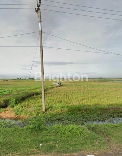 image TANAH LUAS DI KRANGKENGA INDRAMAYU (2)