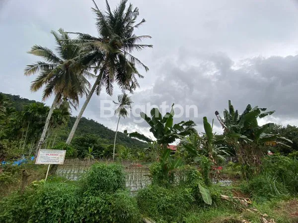 image TANAH DIJUAL DI JALAN RAYA KURANJI DI PADANG  (4)