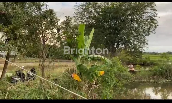 image JALAN RAYA BYPASS. KOTA PADANG (2)