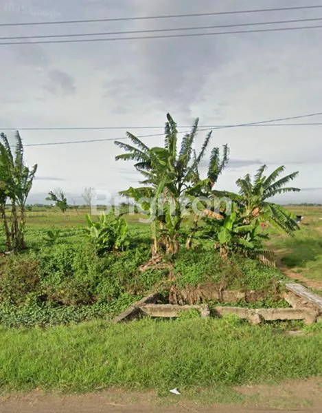 image TANAH LUAS DI KRANGKENGA INDRAMAYU (5)