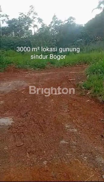 image DIJUAL TANAH (1)