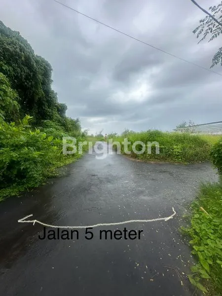image DIJUAL TANAH MURAH PREMIUM GIANYAR BALI (2)