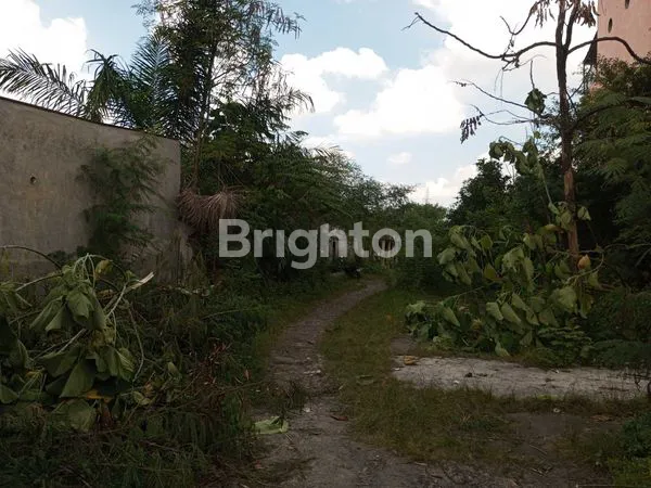 image TANAH DIJUAL (2)