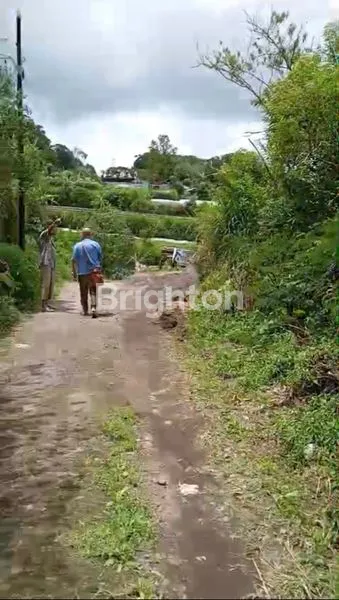 image TANAH STRATEGIS VIEW DANAU BUYAN BEDUGUL (5)