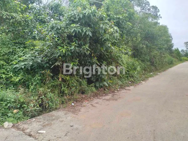 image TANAH 5 HEKTAR SHM DI BABULU, DEKAT IKN (1)