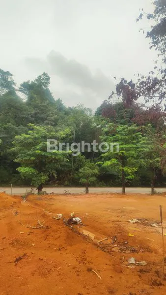 image KAVLING NONGSA. MURAH. PINGGIR JALAN BESAR. NONGSA (1)