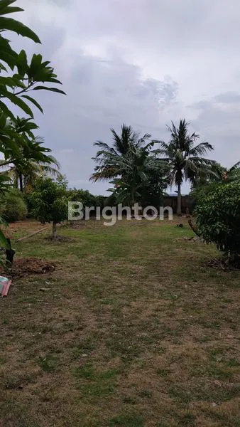 image KAVLING 1000 M² KAMPUNG TUA BERLIAN. BATAM CENTER (3)