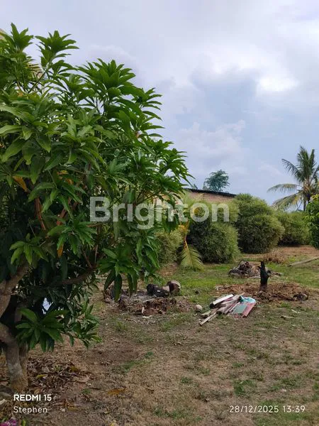 image KAVLING 1000 M² KAMPUNG TUA BERLIAN. BATAM CENTER (4)