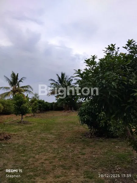 image KAVLING 1000 M² KAMPUNG TUA BERLIAN. BATAM CENTER (5)