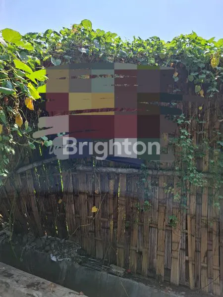 image DIJUAL TANAH LOKASI SBY TIMUR SANGAT STRATEGIS (1)