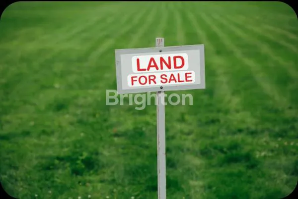 image TANAH SAWAH DI LAMONGAN (1)