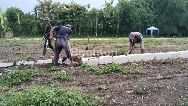 image INVESTASI TANAH MURAH, 5 MENIT KE SURAMADU (1)