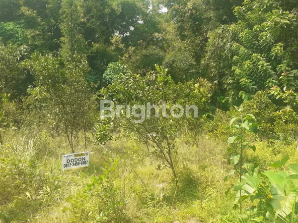 image KARANGPLOSO TANAH MURAH AKSES MOBIL (4)