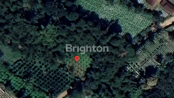 image KARANGPLOSO TANAH MURAH AKSES MOBIL (5)