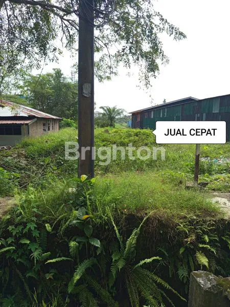 image LAHAN KOSONG DI NGUMBAN SURBAKTI (3)