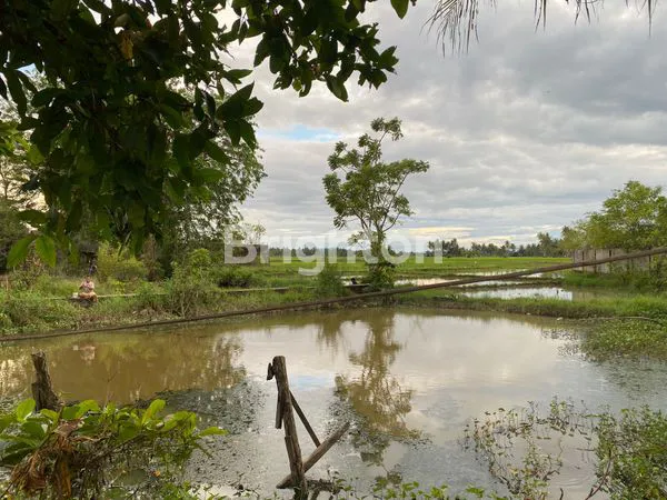 image TANAH SHM 23.000M², LOKASI PREMIUM DI KOTA PADANG (3)