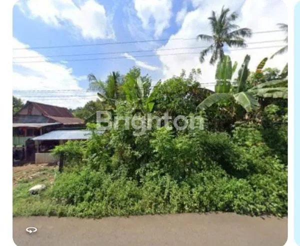 image TANAH PERKEBUNAN – MAROS PROPINSI SULAWESI SELATAN (1)