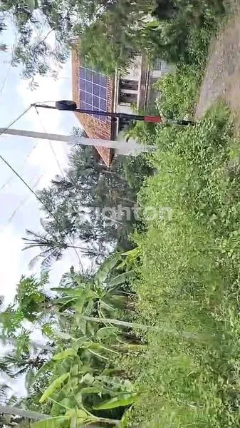 image TANAH STRATEGIS DI UBUD, DEKAT PASAR & KAWASAN VILLA (2)