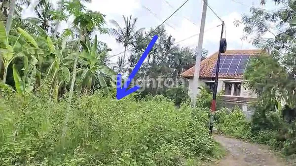 image TANAH STRATEGIS DI UBUD, DEKAT PASAR & KAWASAN VILLA (1)
