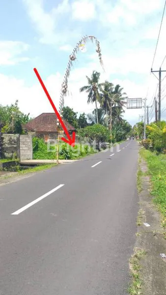 image LAHAN KOSONG TABANAN  (1)