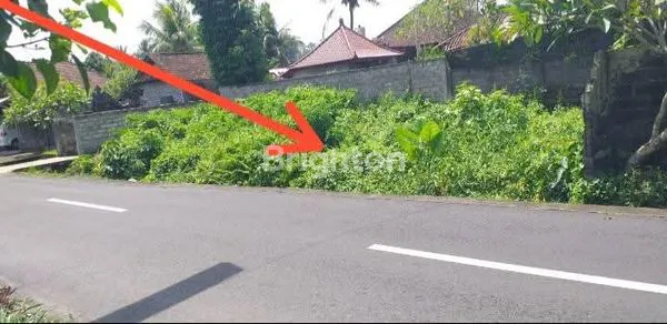 image LAHAN KOSONG TABANAN  (2)