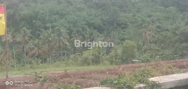 image LAHAM BAGUS PINGGIR JALAN (1)