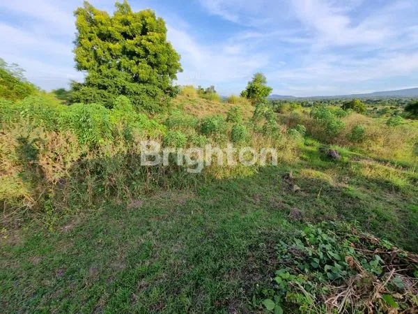 image TANAH STRATEGIS SHM 22.000M², AKSES JALAN RAYA TULAMBEN (1)