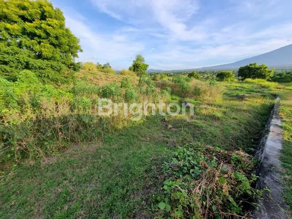 image TANAH STRATEGIS SHM 22.000M², AKSES JALAN RAYA TULAMBEN (2)