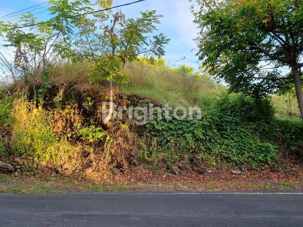 image TANAH STRATEGIS SHM 22.000M², AKSES JALAN RAYA TULAMBEN (3)