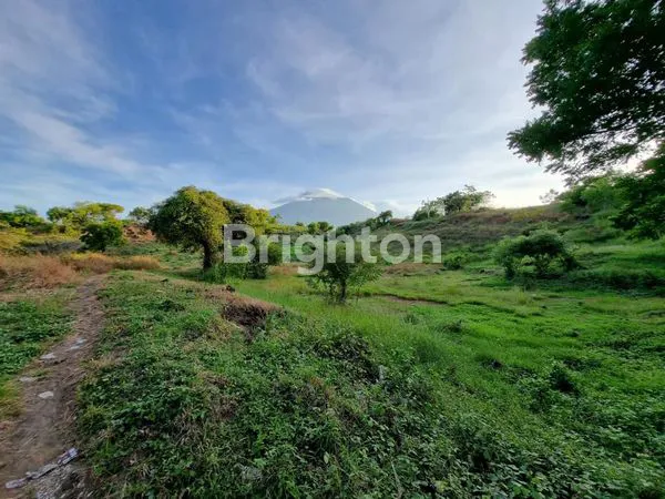 image TANAH STRATEGIS SHM 22.000M², AKSES JALAN RAYA TULAMBEN (5)