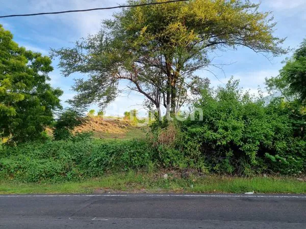 image TANAH STRATEGIS SHM 22.000M², AKSES JALAN RAYA TULAMBEN (4)