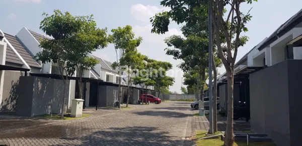 image GRAND SUNRISE CLUSTER STELLAR (2)