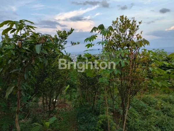 image LAHAN STRATEGIS SOREANG, DEKAT POLRES & AKSES JALAN UTAMA (6)