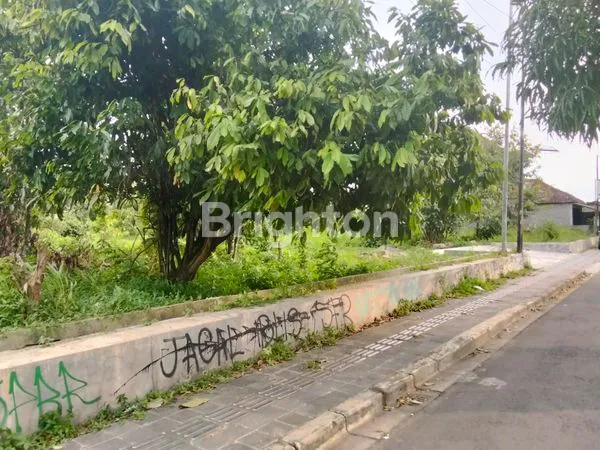 image TANAH STRATEGIS 3300M² DI MAGELANG, SHM SIAP BANGUN (4)