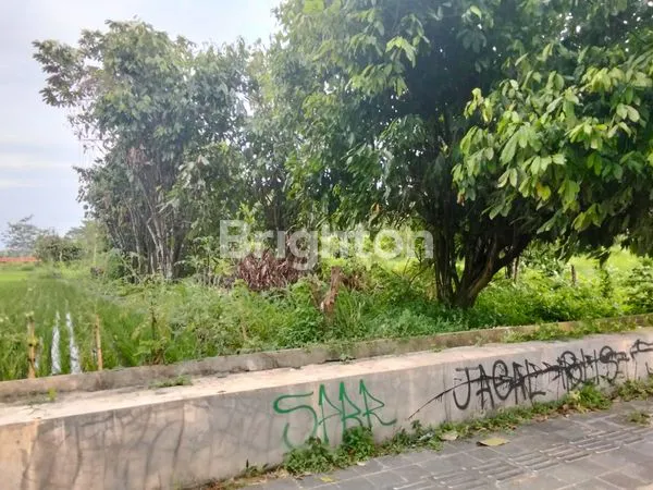 image TANAH STRATEGIS 3300M² DI MAGELANG, SHM SIAP BANGUN (8)