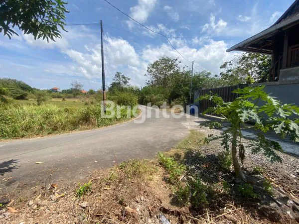 image INVESTASI STRATEGIS TANAH 335M² KUTUH, BADUNG (4)