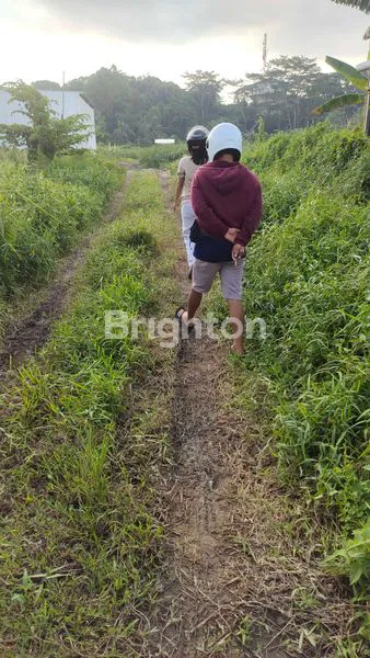 image DIJUAL TANAH COCOK UNTUK GUEST HOUSE, RUMAH KOST, DAN CLUSTER PERUMAHAN (1)