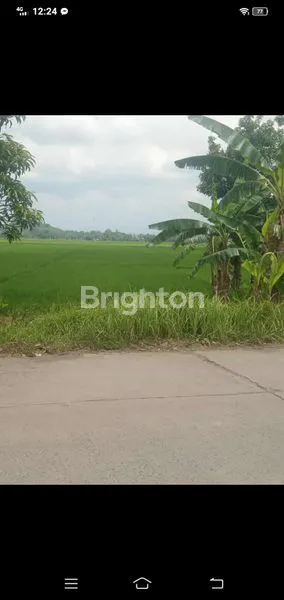 DIJUAL CEPAT TANAH KAVLING – PEKALONGAN