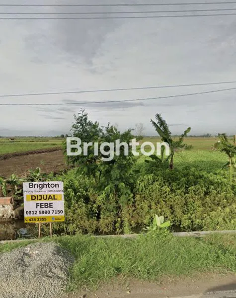 image TANAH LUAS DI KRANGKENGA INDRAMAYU (3)