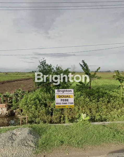 image TANAH LUAS DI KRANGKENGA INDRAMAYU (1)