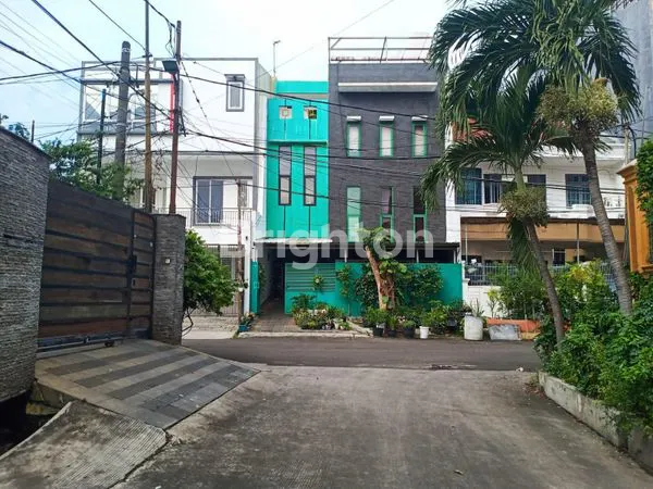 image PLUIT KARANG MOLEK (1)