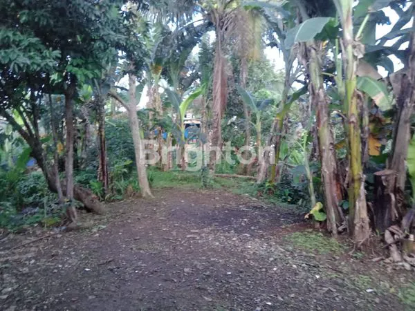 image LAHAN BOGOR TIMUR, 1200M², SIAP USAHA & HUNIAN (2)