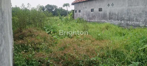 image TERMURAH, NOL JALAN BANGIL, SHM, MENGUNTUNGKAN [082131400777] (1)