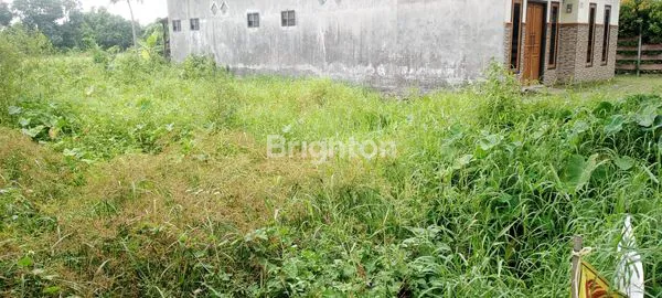 image TERMURAH, NOL JALAN BANGIL, SHM, MENGUNTUNGKAN [082131400777] (2)