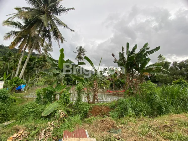 image TANAH 19.745M2 DI JALAN RAYA KURANJI, PADANG (3)