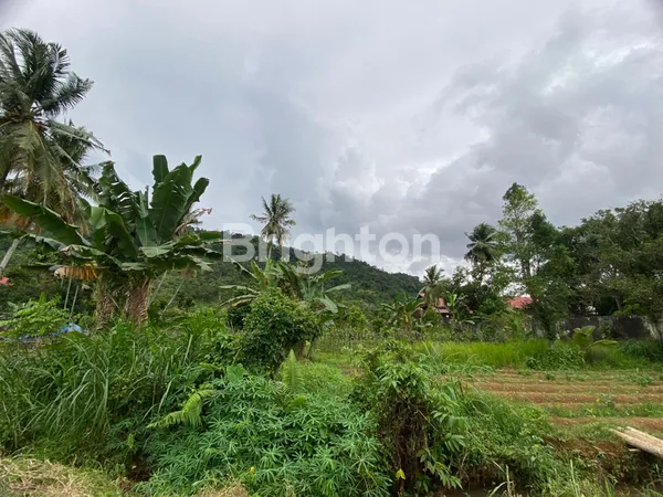 image TANAH 19.745M2 DI JALAN RAYA KURANJI, PADANG (4)