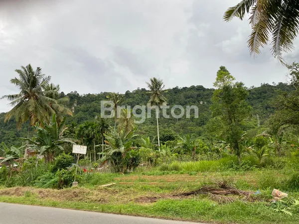 image TANAH 19.745M2 DI JALAN RAYA KURANJI, PADANG (6)