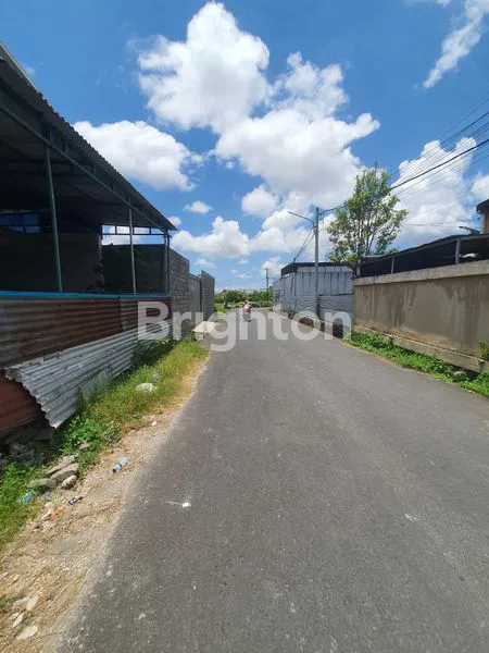 image TANAH LUAS 1.500M² DI UBUNG KAJA, COCOK UNTUK GUDANG/USAHA (2)